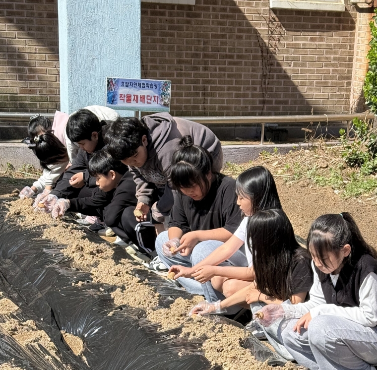 [크기변환]260410 효탑초, ‘으라차차 생태체험대’ 출발(사진 1).jpg